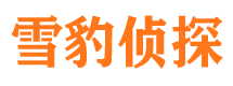 青冈外遇调查取证